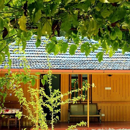 Marari Beach Pearl Homestay Марарикулам Экстерьер фото